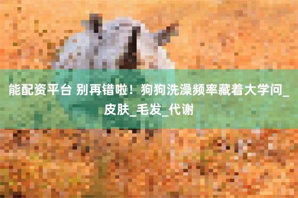 能配资平台 别再错啦！狗狗洗澡频率藏着大学问_皮肤_毛发_代谢