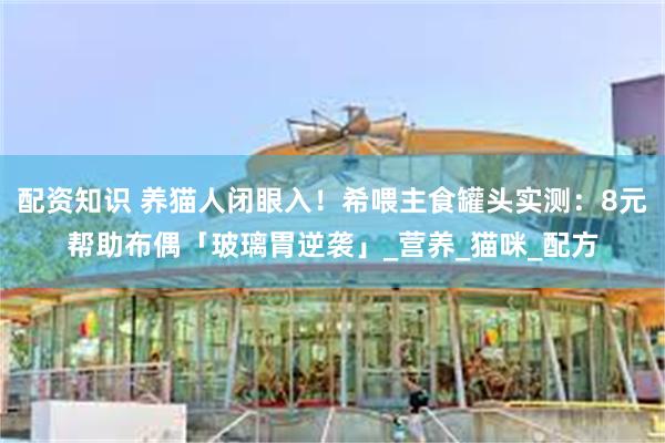 配资知识 养猫人闭眼入！希喂主食罐头实测：8元帮助布偶「玻璃胃逆袭」_营养_猫咪_配方