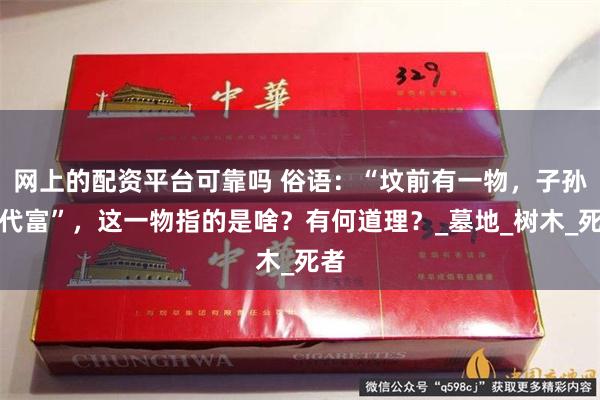 网上的配资平台可靠吗 俗语：“坟前有一物，子孙后代富”，这一物指的是啥？有何道理？_墓地_树木_死者