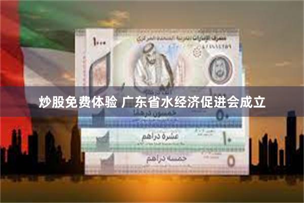 炒股免费体验 广东省水经济促进会成立