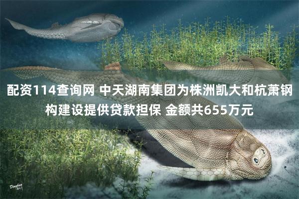 配资114查询网 中天湖南集团为株洲凯大和杭萧钢构建设提供贷款担保 金额共655万元