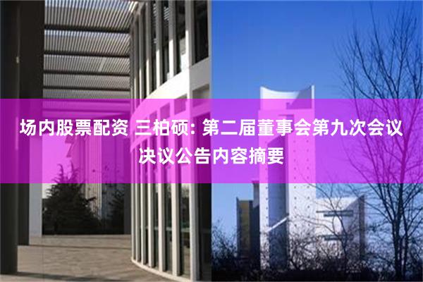 场内股票配资 三柏硕: 第二届董事会第九次会议决议公告内容摘要