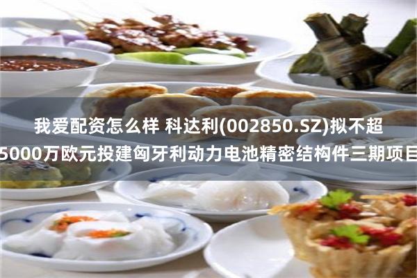 我爱配资怎么样 科达利(002850.SZ)拟不超5000万欧元投建匈牙利动力电池精密结构件三期项目