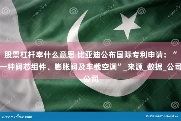 股票杠杆率什么意思 比亚迪公布国际专利申请：“一种阀芯组件、膨胀阀及车载空调”_来源_数据_公司