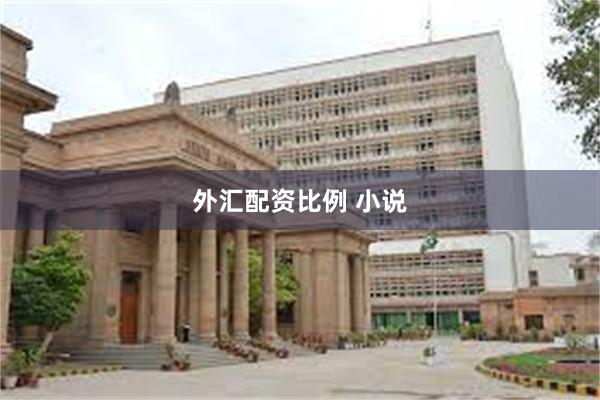 外汇配资比例 小说