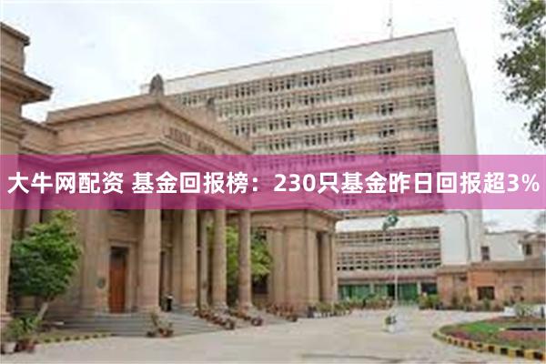 大牛网配资 基金回报榜：230只基金昨日回报超3%