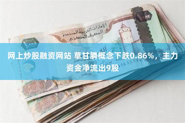 网上炒股融资网站 草甘膦概念下跌0.86%，主力资金净流出9股