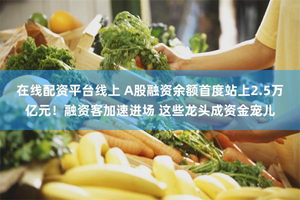 在线配资平台线上 A股融资余额首度站上2.5万亿元!融资客加速进场 这些龙头成资金宠儿