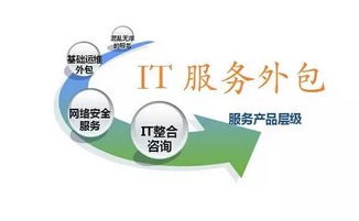 軟件外包服務(wù)為何逐漸失效 從CIO視角看產(chǎn)業(yè)變革